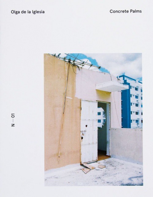 N-01 Concrete Palms