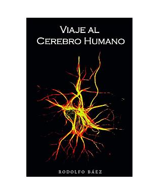 El viaje al cerebro humano