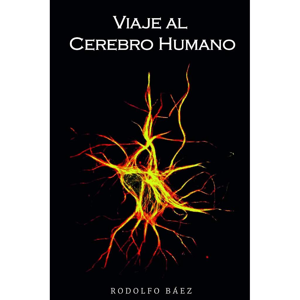 El viaje al cerebro humano
