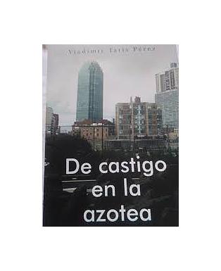 De castigo en la azotea