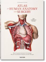 Atlas of human anatomy and surgery