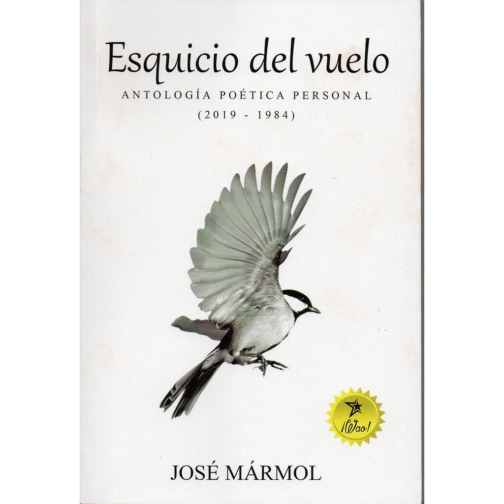 esquicio del vuelo (jose marmol)