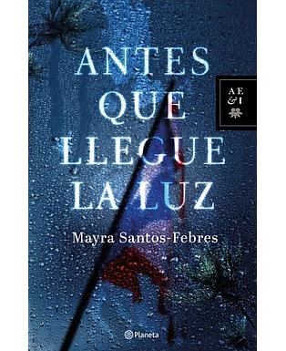 Antes de que llegue la luz