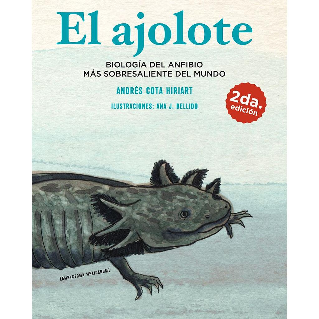 El ajolote