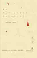 An imperfect geometry (soft cover)