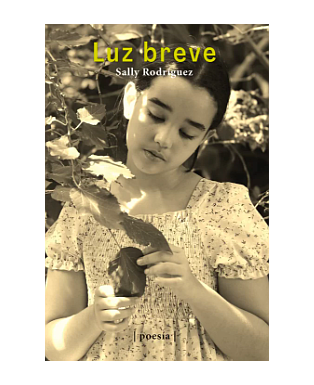 Luz Breve