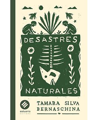 Desastres Naturales