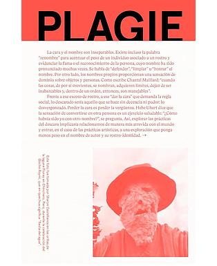 Plagie, copie, manipule, rescriba este libro